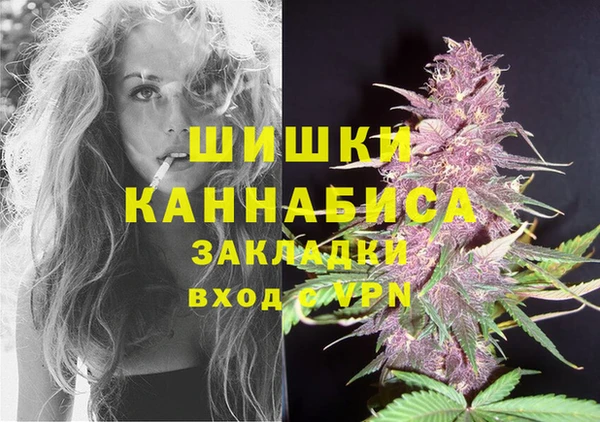 дмт Аркадак