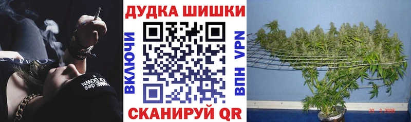 нарко площадка формула  Всеволожск  Шишки марихуана THC 21% 